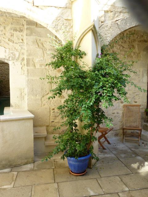 Hotel Cote Cour Chambres D'Hotes Bourg-Saint-Andéol Εξωτερικό φωτογραφία